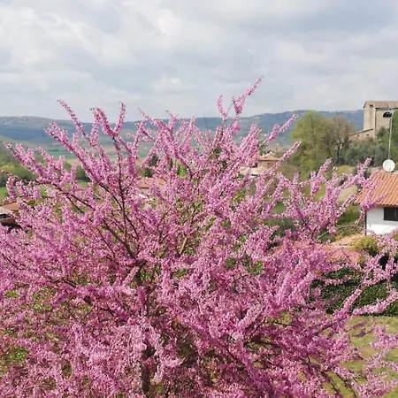Miramondo * Castiglion Fosco
